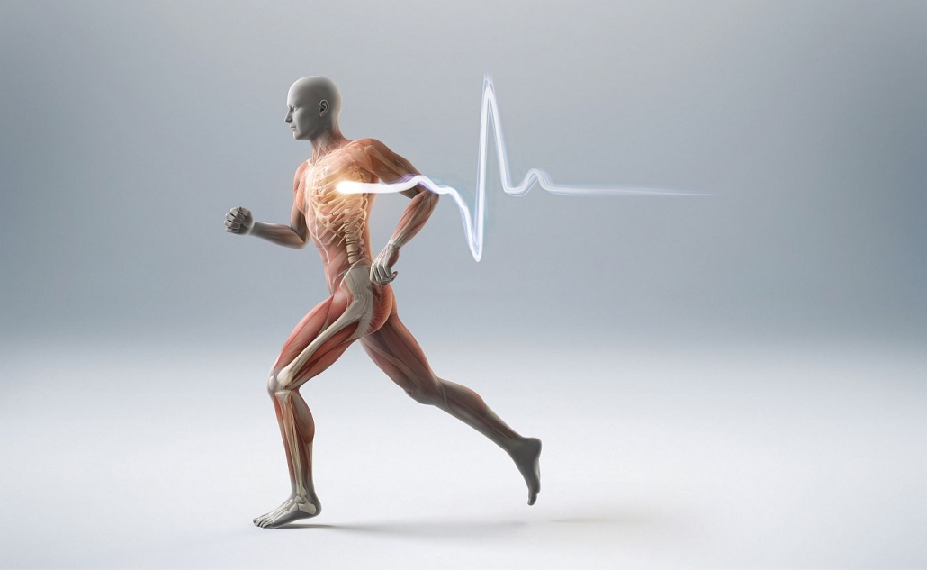 Ob Triathlon, Radmarathon oder Marathon - die Physiologie ist entscheidend